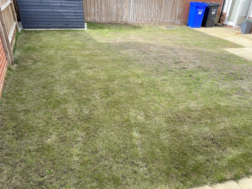 lawn before Lawnscience treatment