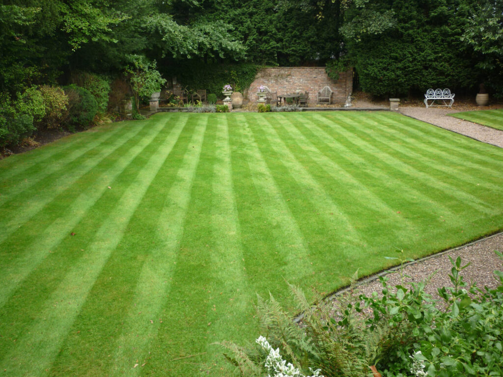 example of Lawnscience lawn