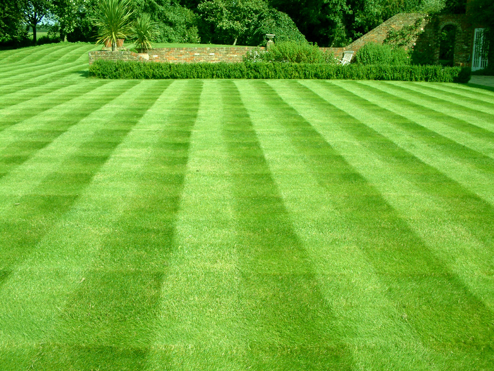 Image of a Quality Lawn