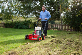 Lawn Scarification