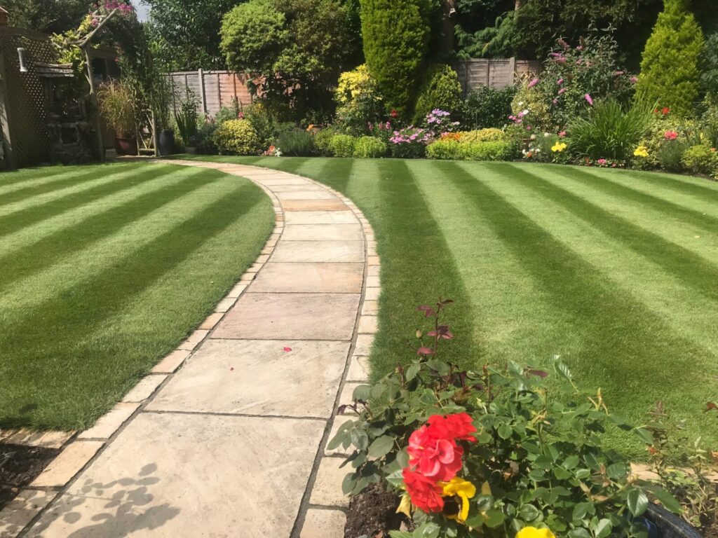 Stamford Lawn Care - here to help and advise you - Lawnscience