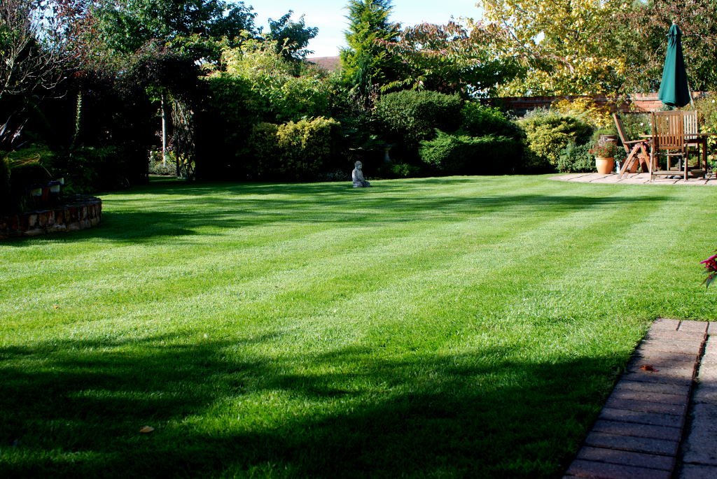 This image shows a lawn in great condition. 