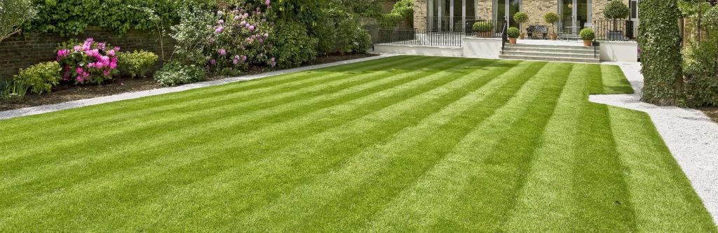 Affordable lawn care